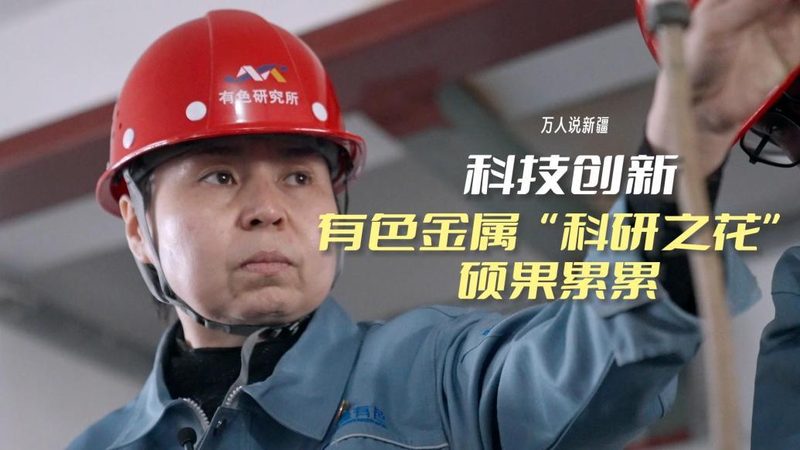 企业搜索数据库索引，价格几何？揭秘其成本构成与价值**